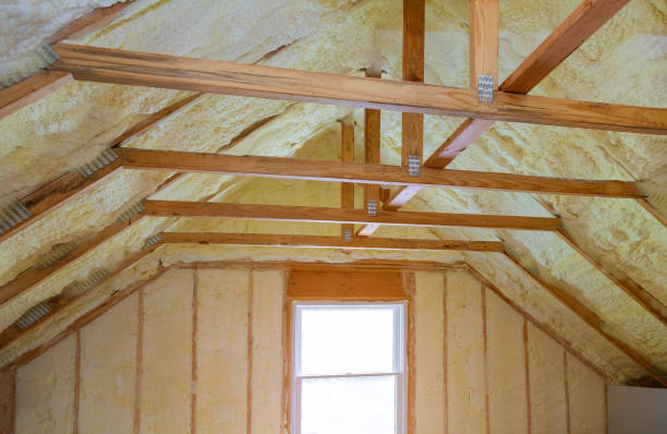 Best Residential Insulation in Little Walnut Village, NM