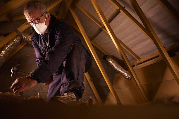 Best Cellulose Insulation in Little Walnut Village, NM