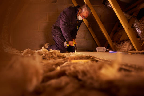 Best Eco-Friendly Insulation in Little Walnut Village, NM