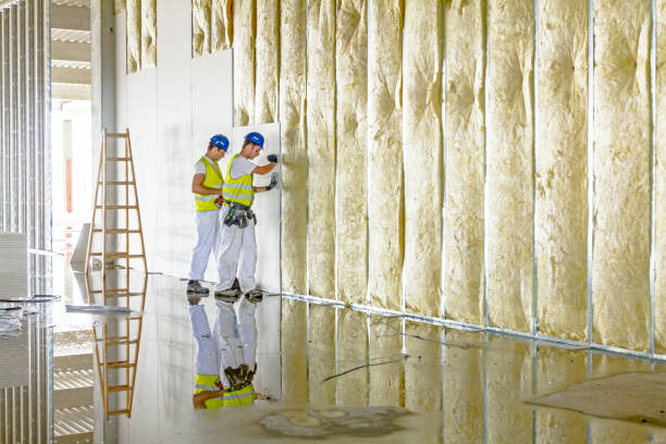 Best Insulation Maintenance and Repair in Little Walnut Village, NM